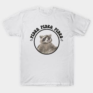 Funny Raccoon Pedro Pedro Dancing Raccoon Funny Meme T-Shirt
